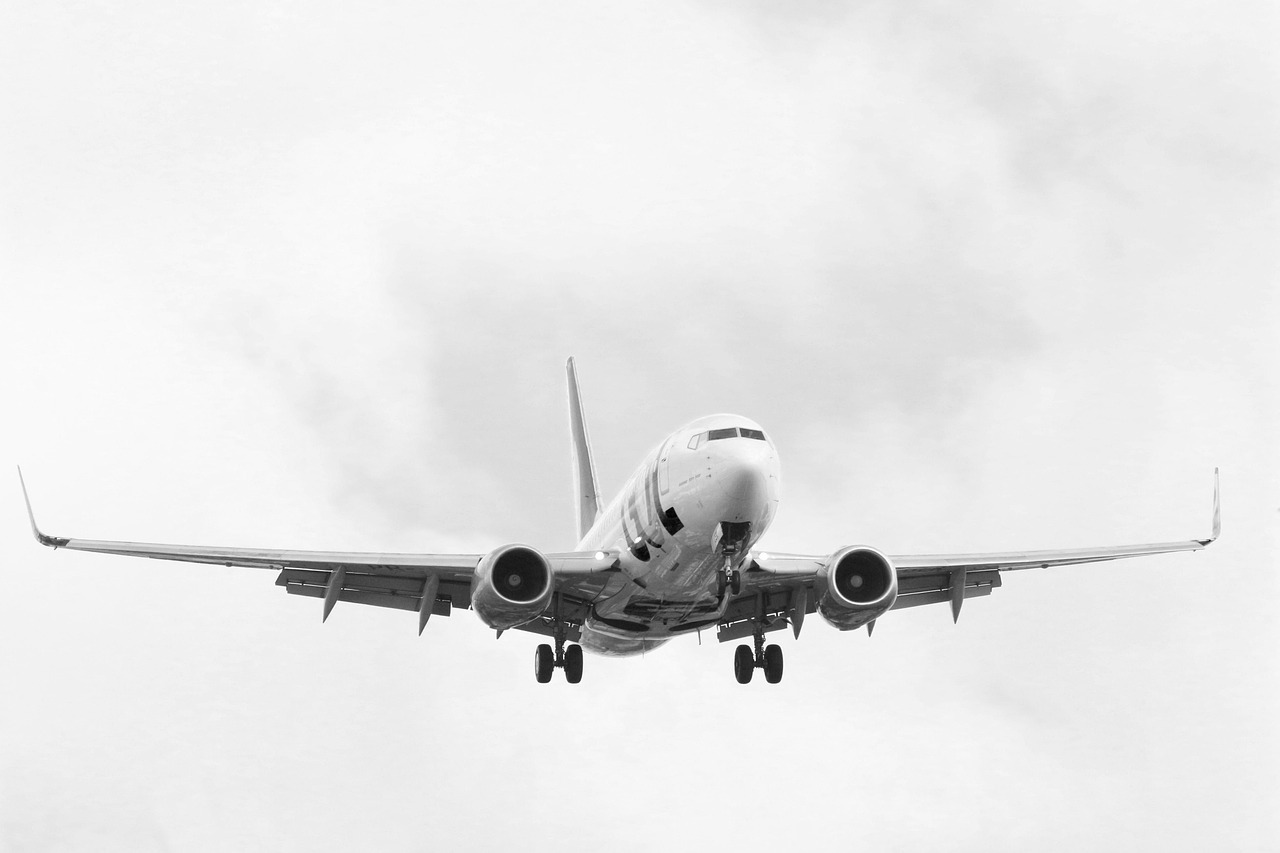airplane, plane, avion, airport, travel, on the fly, flying, park, cloud, clouds, sky, transport, city, tourism, jet, business, avion, avion, avion, avion, avion